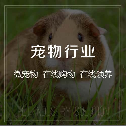吴忠宠物