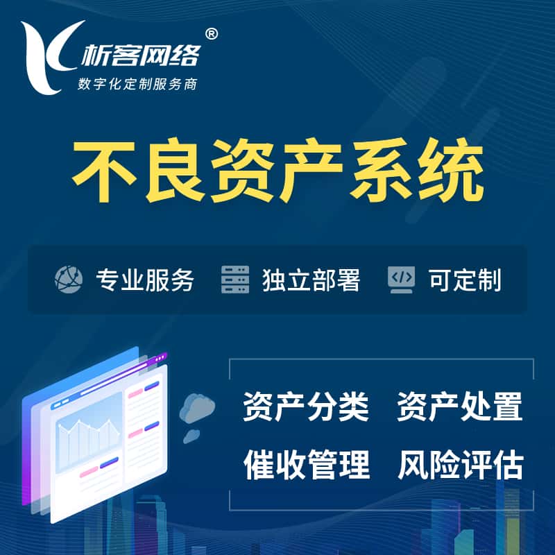吴忠不良资产管理系统