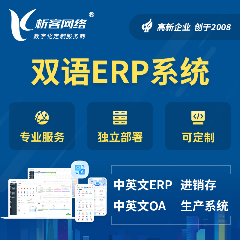 吴忠双语ERP系统